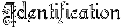 Identification